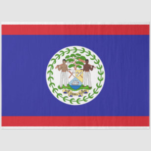 Flag of Belize Tissue Paper