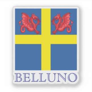 Flag of Belluno, Italy