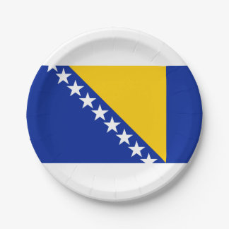 Flag of Bosnia and Herzegovina Paper Plate