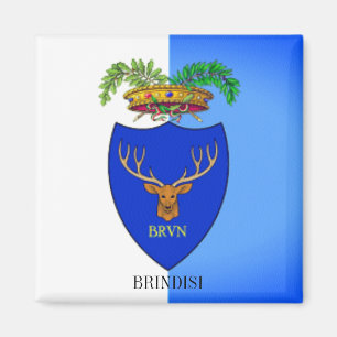 Flag of Brindisi, Italy Magnet