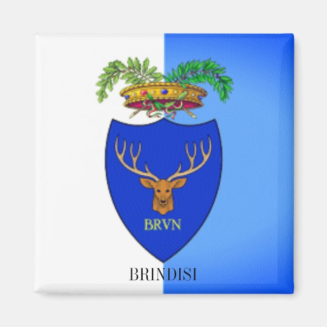 Flag of Brindisi, Italy Magnet (Front)