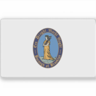 Flag of Brooklyn, New York City, USA