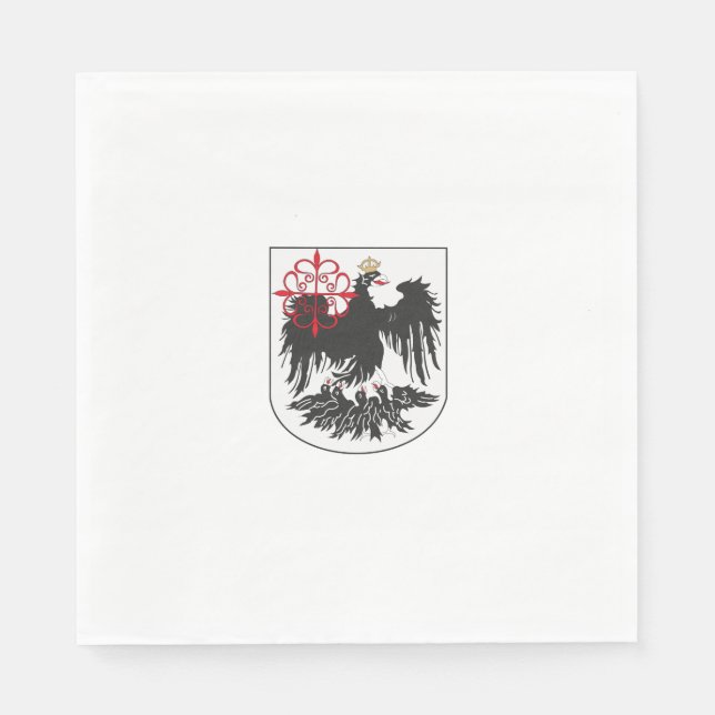 Flag of Buenos Aires (Argentina) Napkin (Front)