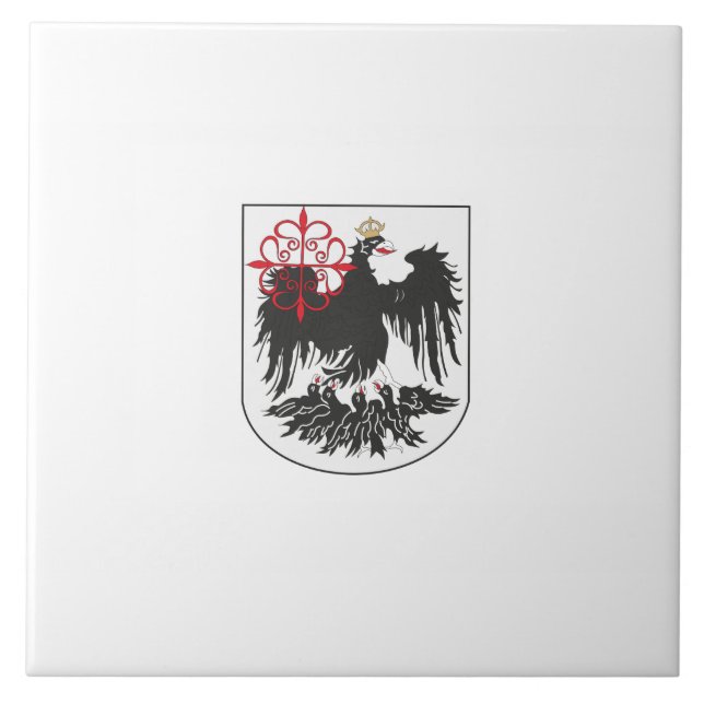 Flag of Buenos Aires (Argentina) Tile (Front)