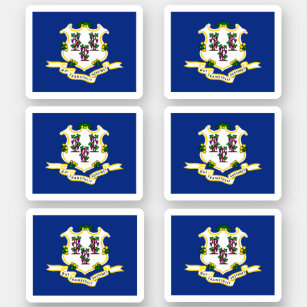 Flag of Connecticut American state flag