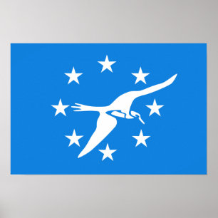 Flag of Corpus Christi Poster