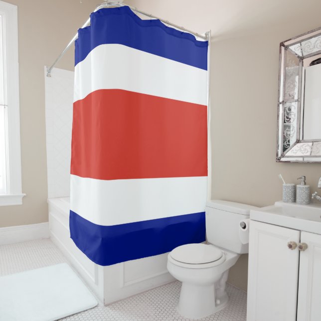 Flag of Costa Rica (In Situ)