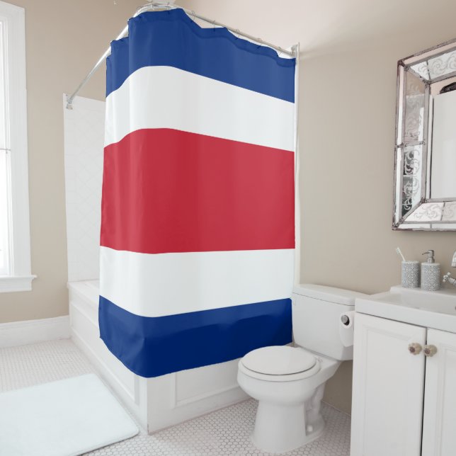 Flag of Costa Rica (In Situ)