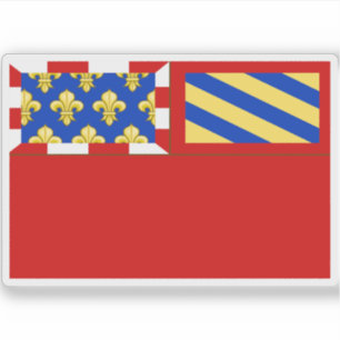 Flag of Dijon, France