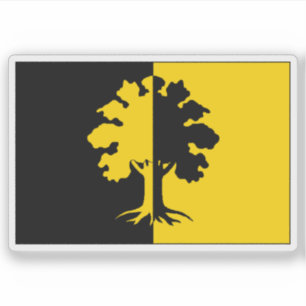 Flag of Dubí, Czech Republic