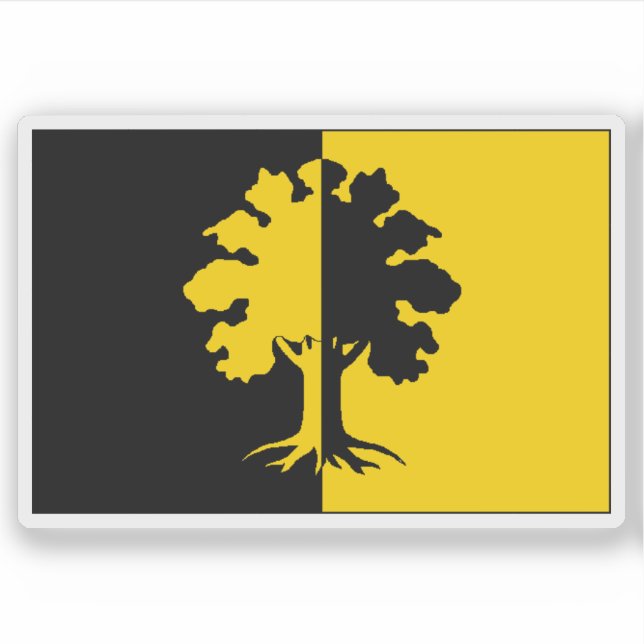 Flag of Dubí, Czech Republic (Front)