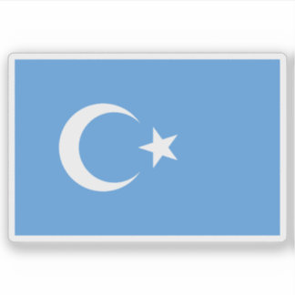Flag of East Turkestan (Kök Bayraq)