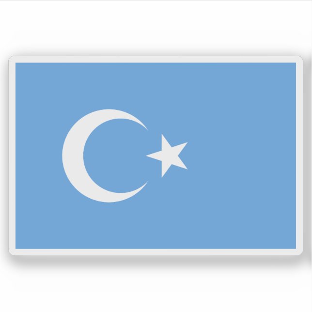 Flag of East Turkestan (Kök Bayraq) (Front)
