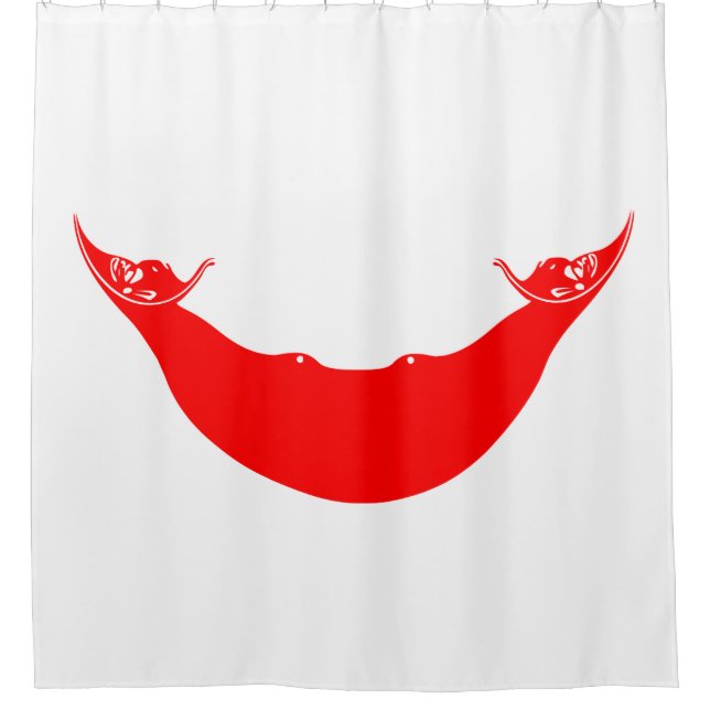 Flag of Easter Island (Rapa Nui) (Front)