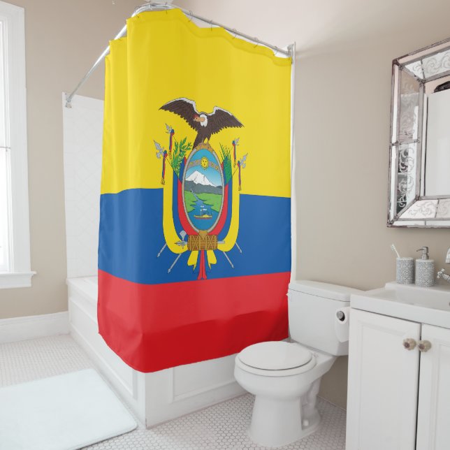 Flag of Ecuador (In Situ)