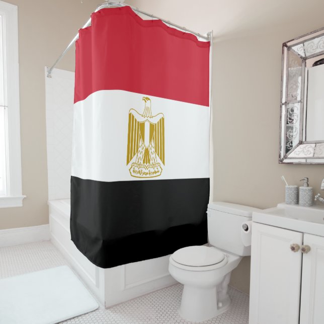 Flag of Egypt (In Situ)