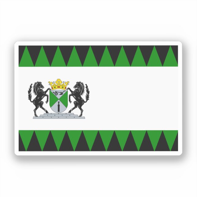 Flag of Emmen, Netherlands (Front)