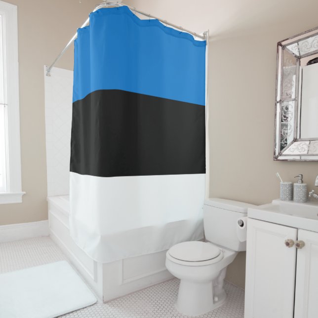 Flag of Estonia (In Situ)