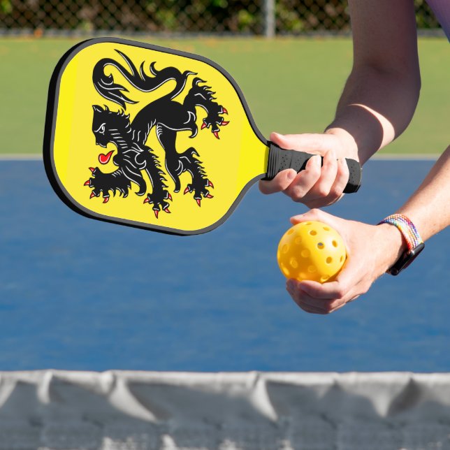 Flag of Flanders Pickleball Paddle (Insitu)