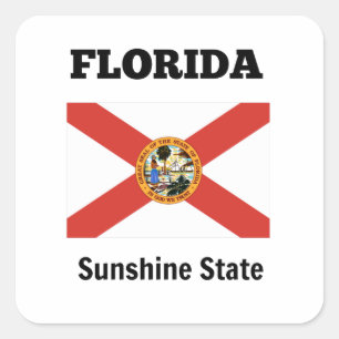 Flag of Florida and state motto Square Sticker