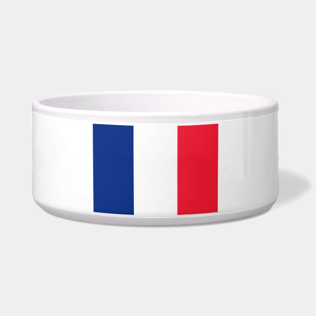 Flag of France (Front)
