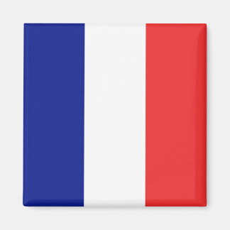 Flag of France French Tricolore Magnet