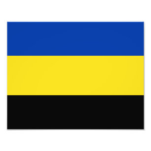 Flag of Gelderland Photo Print