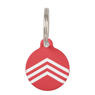 Flag of Glamorgan Pet ID Tag
