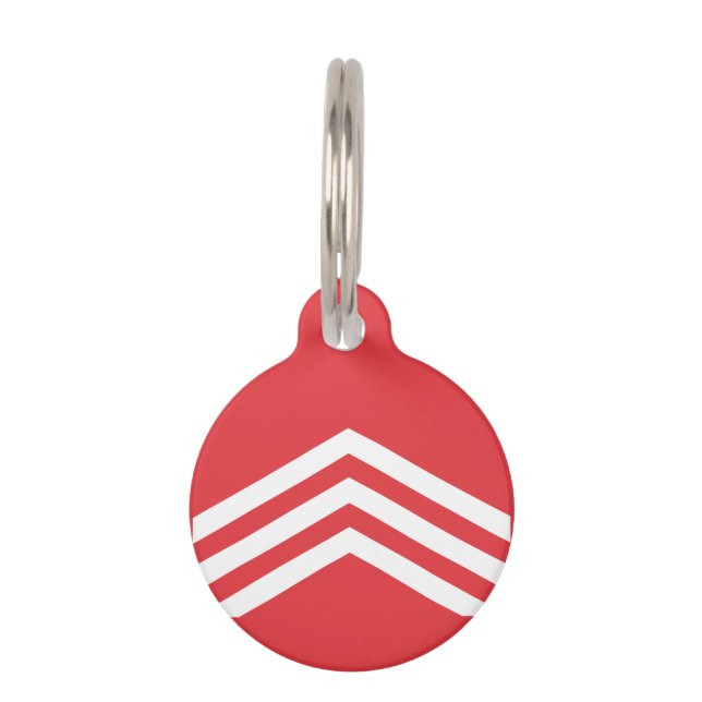 Flag of Glamorgan Pet ID Tag (Back)