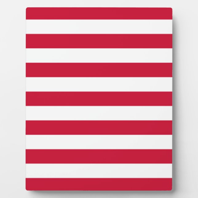 Flag of Goes Plaque (Front)