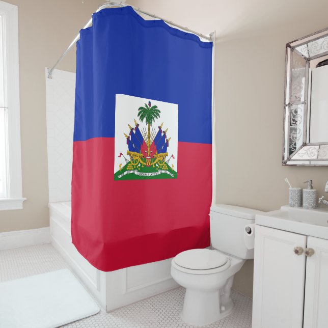 Flag of Haiti (In Situ)