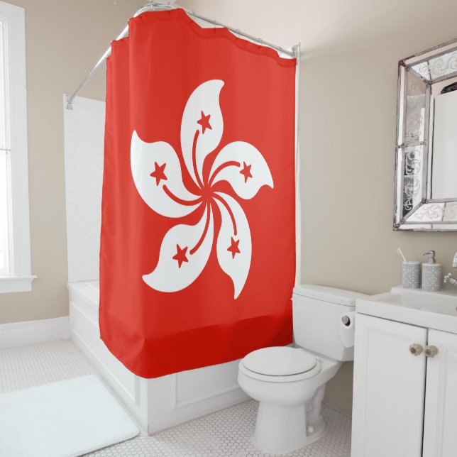 Flag of Hong Kong (In Situ)