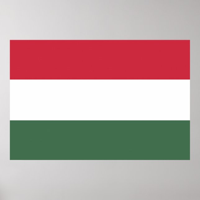 Flag of Hungary tricolor Poster (Front)
