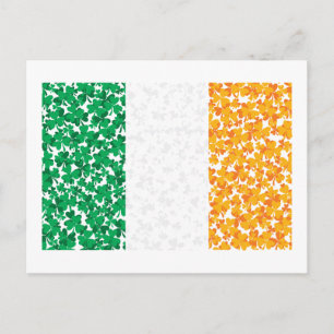 Flag of Ireland Shamrocks Postcard