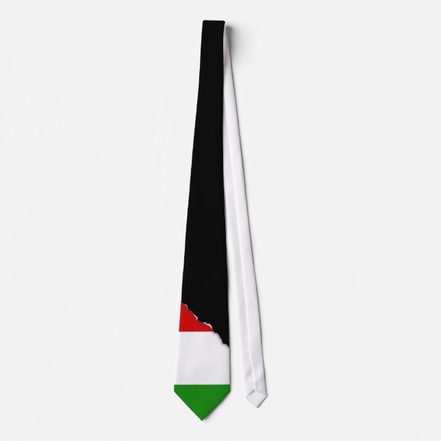 Flag of Italy Tie (Front)