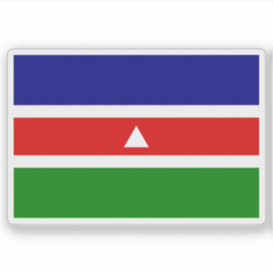 Flag of Juiz de Fora, Brazil