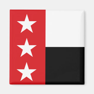 Flag of Laredo (Texas) Magnet