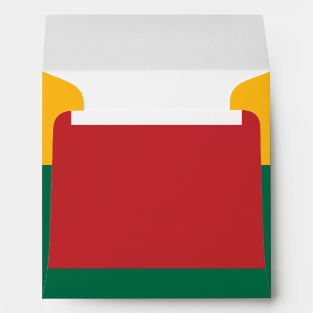 Flag of Lithuania Envelope (Back (Bottom))