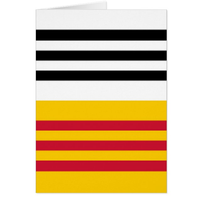 Flag of Loon op Zand (Front)