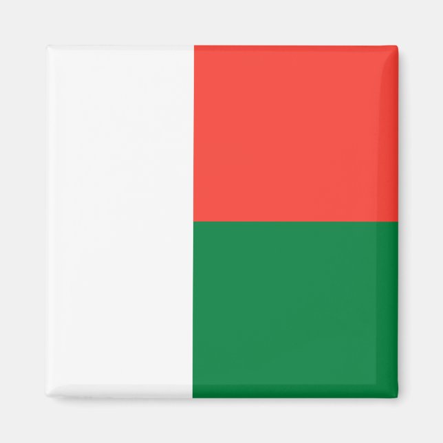 Flag of Madagascar Magnet (Front)