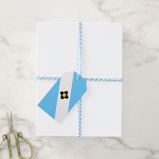 Flag of Madison, Wisconsin Gift Tags (With Twine)