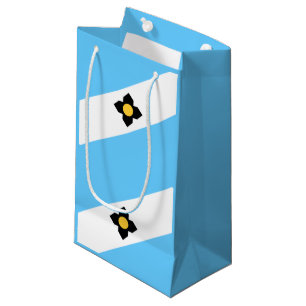 Flag of Madison, Wisconsin Small Gift Bag