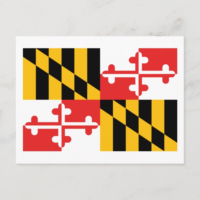 Flag of Maryland Postcard (Front)