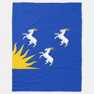 Flag of Merionethshire Fleece Blanket