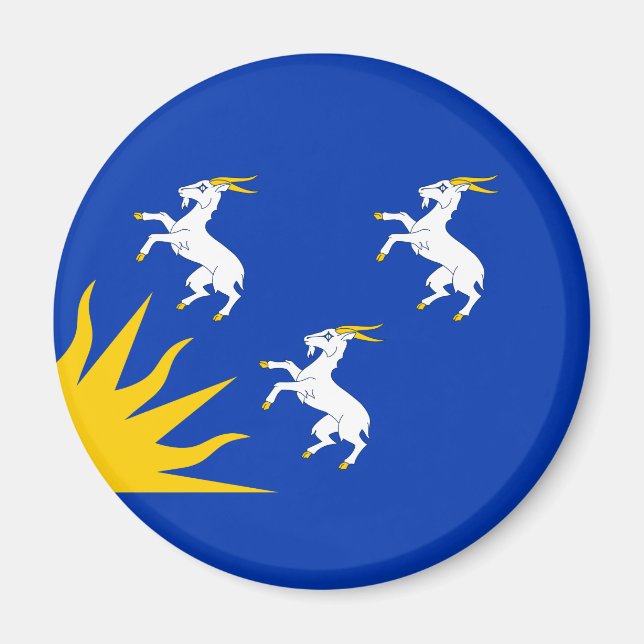 Flag of Merionethshire Magnet (Front)