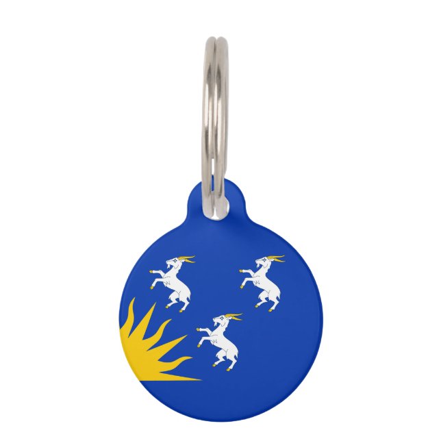 Flag of Merionethshire Pet ID Tag (Back)