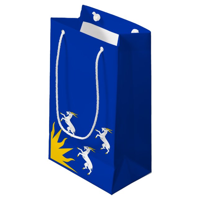 Flag of Merionethshire Small Gift Bag (Front Angled)