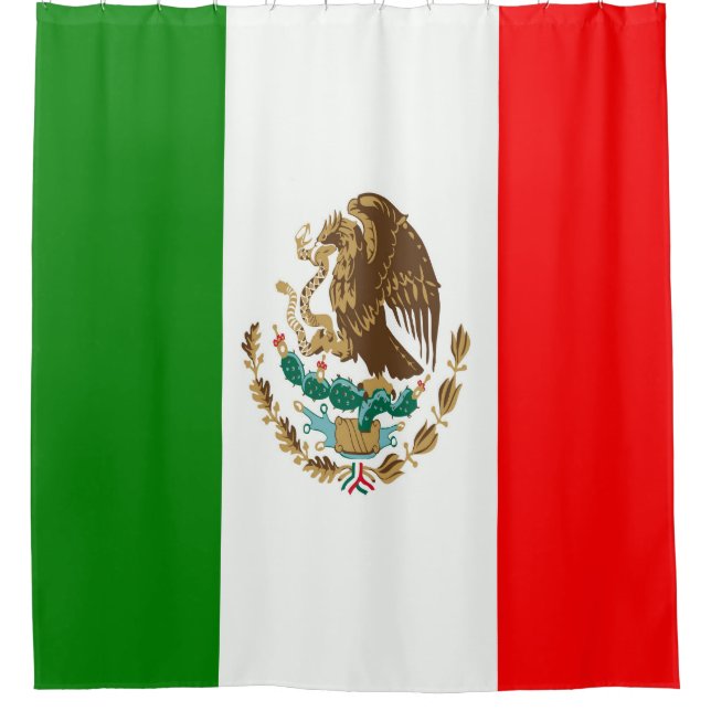 Flag of Mexico (Front)