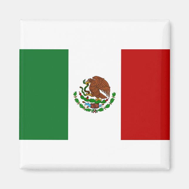 Flag of Mexico Magnet (Front)