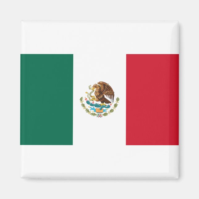 Flag of Mexico Magnet (Front)
